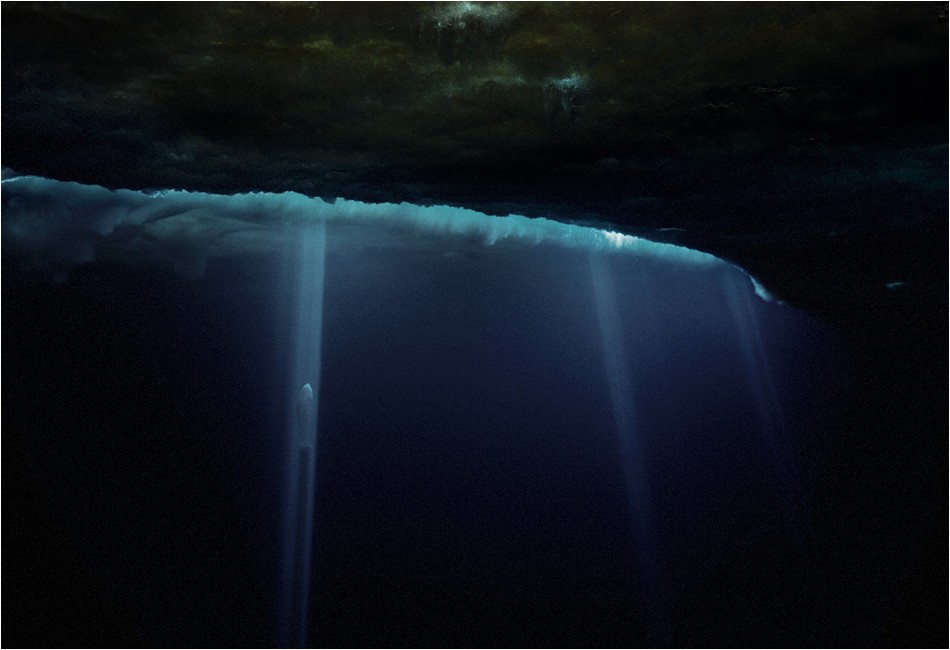 Shafts of Light and Weddell Seal